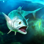 TAP SPORTS Fishing Game  8.1.1 (mod)
