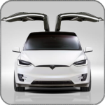 Electric Car Simulator 2021: City Driving Model X (mod) 1.6