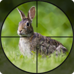 Rabbit Hunting Challenge 2019 – Shooting Games FPS (mod) 1.2