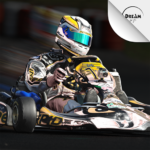 Kart Racing Ultimate (mod) 8.1