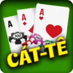Catte – Cat te (mod) 1.0.3