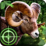 Wild Hunter 3D  1.0.11 (mod)